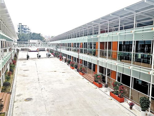 龍華區(qū)教育升級(jí) 新校建設(shè)“加速度”，老校擴(kuò)容成效顯新型環(huán)保建材應(yīng)用亮眼